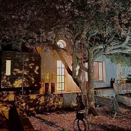 B&B Le Cabanon Du Faron D Dans Un Jardin