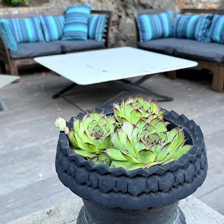 B&B Le Cabanon Du Faron D Dans Un Jardin