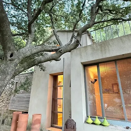 Le Cabanon Du Faron D Dans Un Jardin *